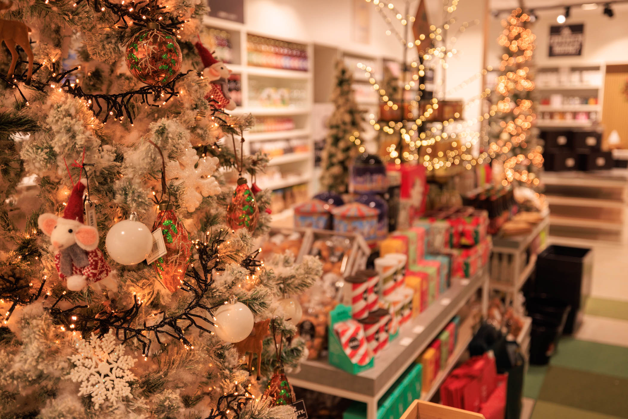 SwietArts in Hoogvliet in kerstsfeer 2025